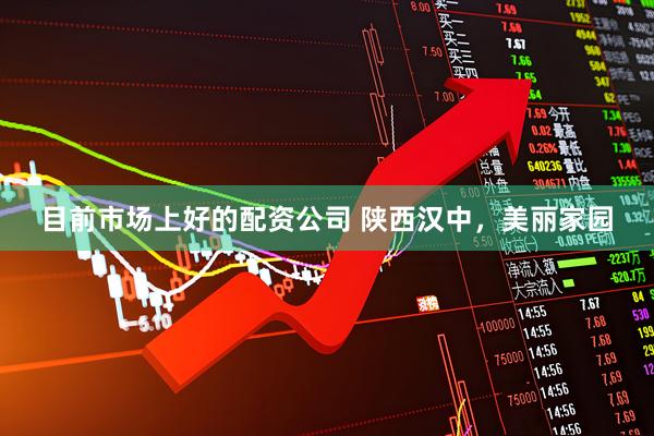 目前市场上好的配资公司 陕西汉中，美丽家园