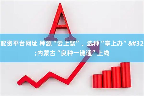 配资平台网址 种源“云上聚”、选种“掌上办” 内蒙古“良种一键通”上线